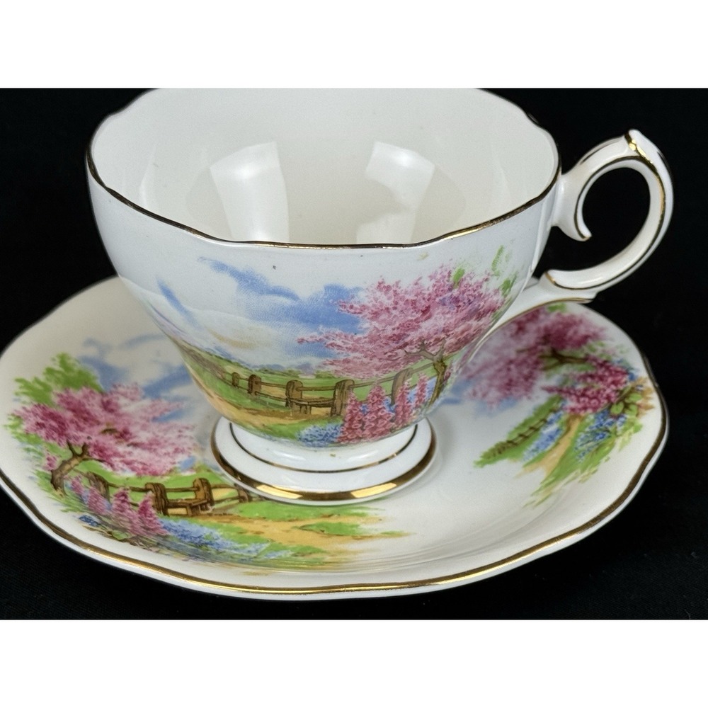 Queen Anne Made In England Fine Bone China Meadowside Tea Cup And Saucer